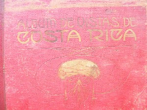 biblioteca 300 copy.jpg